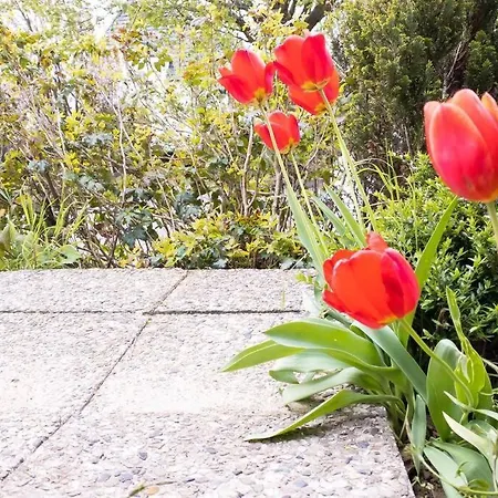 Am Auensee Mit Grosser Terrasse & Privat-parkplatz Daire Leipzig